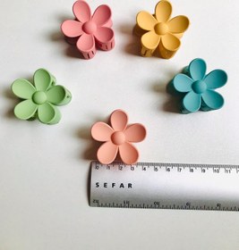 تصویر کلیپس کوچک بابونه 
