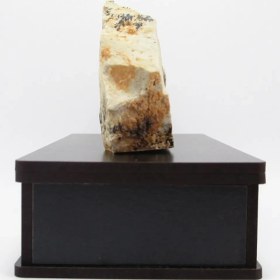 تصویر سنگ شجر فسیلی (دندریتی ) کد 2375 