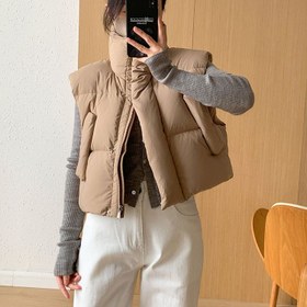 تصویر پافر‌کوتاه 