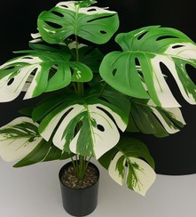 تصویر درختچه مصنوعی 12 برگ مونسترا ابلق 