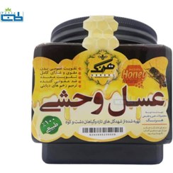 تصویر عسل وحشی یک کیلویی به همراه یک عسل کوهستان رایگان wild honey