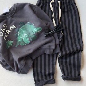 تصویر ست داینو 