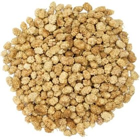 تصویر توت خشک - 500گرم 