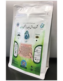 تصویر جلبک کلرلا(chlorella) 
