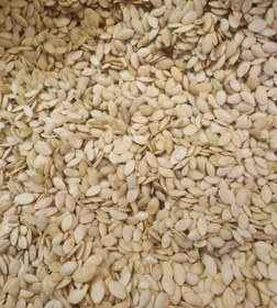 تصویر تخمه کدو درجه یک 