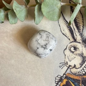 تصویر هولیت ۰۳ 