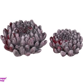 تصویر سنگ تزئینی آکواریوم مدل TOTO بسته 2 عددی 