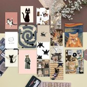 تصویر پک پوستر گربه 