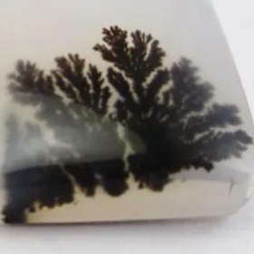 تصویر سنگ شجر کد 2300 