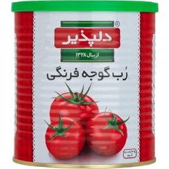 تصویر رب گوجه‌فرنگی دلپذیر ۸۰۰ گرم 