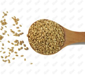 تصویر گندم پوست کنده ۱ کیلوگرم 