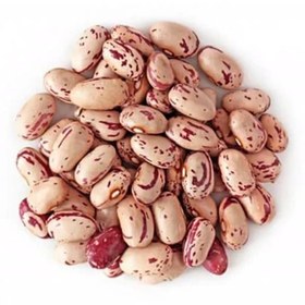 تصویر بذر لوبیا چیتی 20 عددی 