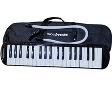 تصویر ملودیکا 37 کلید Soulmate 