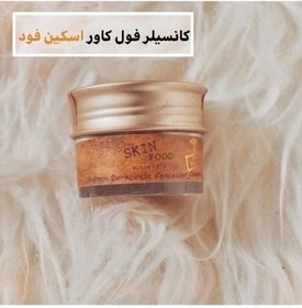 تصویر کانسیلر سالمون اسکین فود SKINFOOD Salmon Darkcircle Concealer Cream 