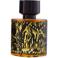 تصویر ادو پرفیوم مردانه Maryaj Wild Stripes حجم ۱۰۰ میلی لیتر عطر مردانه