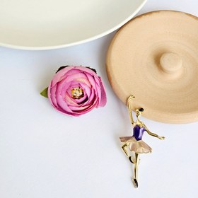 تصویر سنجاق سینه بالرین رویایی 