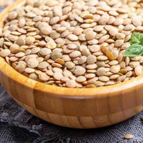 تصویر عدس چتر گندمی 700 گرمی 