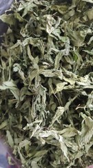 تصویر نعناع برگ لوکس تبریز 