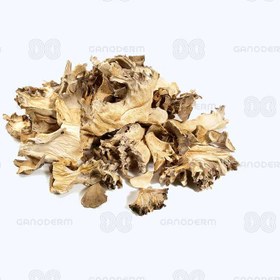 تصویر قارچ مایتاکه (Maitake) 