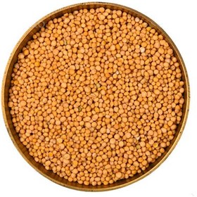 تصویر دانه خردل 500 گرم 