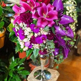 تصویر جام گل برای تبریک شغلی 9289 