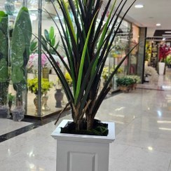 تصویر درختچه لیندا بزرگ مصنوعی 