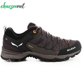 تصویر کفش کوهنوردی سالیوا Salewa Mtn Trainer Lite GTX 