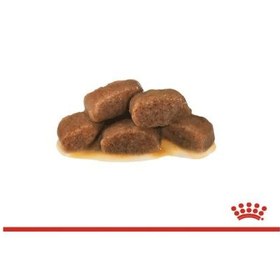 تصویر غذای پوچ گربه رنال با طعم بیف رویال کنین (Royal Canin Cat Renal with Beef Pouch) وزن ۸۵ گرم 