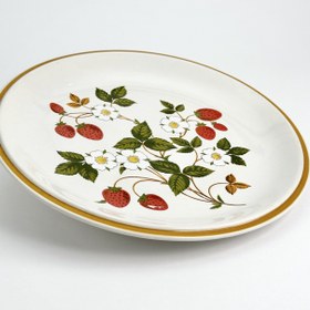 تصویر پلیت شفیلد 