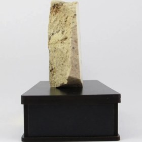 تصویر سنگ شجر فسیلی (دندریتی ) کد 2356 