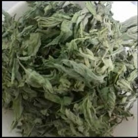 تصویر پونه کوهی 75g 