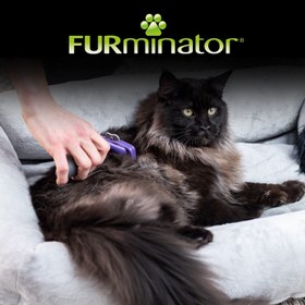 Furminator long hair deshedding outlet tool for large cats