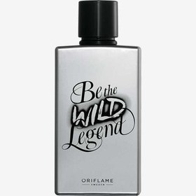 تصویر عطر بی دلجند وایلد Be The Wild Legend EdT