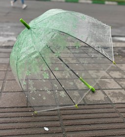 تصویر چترشیشه ای گلدار 