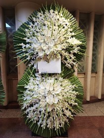 تصویر تاج گل هانا 