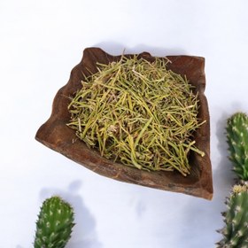 تصویر گیاه خارشتر 