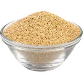 تصویر پودر خمیر مایه - 100 گرم 