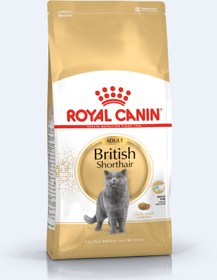 تصویر غذای خشک گربه بالغ بریتیش شرت هیر رویال کنین (وزن 2KG) BRITISH SHORT HAIR (ADULT)_ROYAL CANIN 