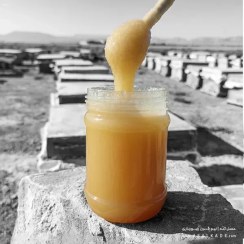 تصویر عسل گون خام - ارگانیک - وزن-خالص: 500 گـــــرمی 