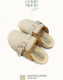 تصویر اسلیپر وینتر Winter Slipper