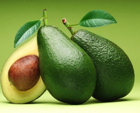 تصویر نهال آووکادو پیوندی 