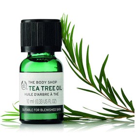 تصویر روغن ضد جوش تی تری بادی شاپ حجم 10 میل The Body Shop Tea Tree Oil 10ml