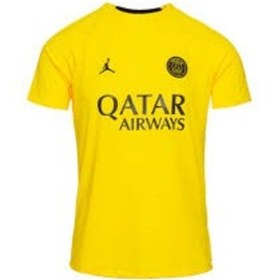 تصویر خرید اینترنتی تیشرت آستین کوتاه مردانه زرد نایک DR4906 720 JORDAN PARİS SAİNT GERMAİN JERSEY ACADEMY PRO DR4906 720
