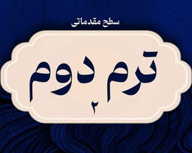 تصویر آموزش غیرحضوری ویولن سطح مقدماتی – ترم دوم 