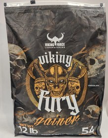 تصویر گینر فیوری وایکینگ فورس gainer fury viking