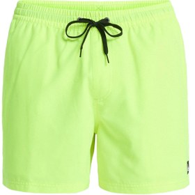 تصویر شورت دریا کویک سیلور اورجینال Quiksilver QQSLVR-SHRT Evrdy Pocketed Swim Shorts Colorful 
