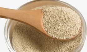 تصویر خمیر مایه بسته 100 گرمی