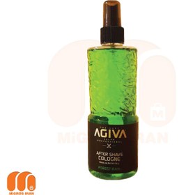 تصویر اسپری افتر شیو آگیوا Agiva Forest Rain مناسب انواع پوست 400 میل 