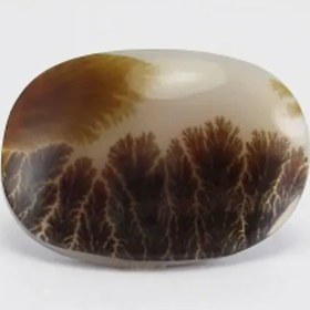 تصویر سنگ شجر کد 2302 