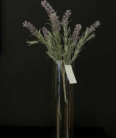 تصویر گل اسطوخودوس 